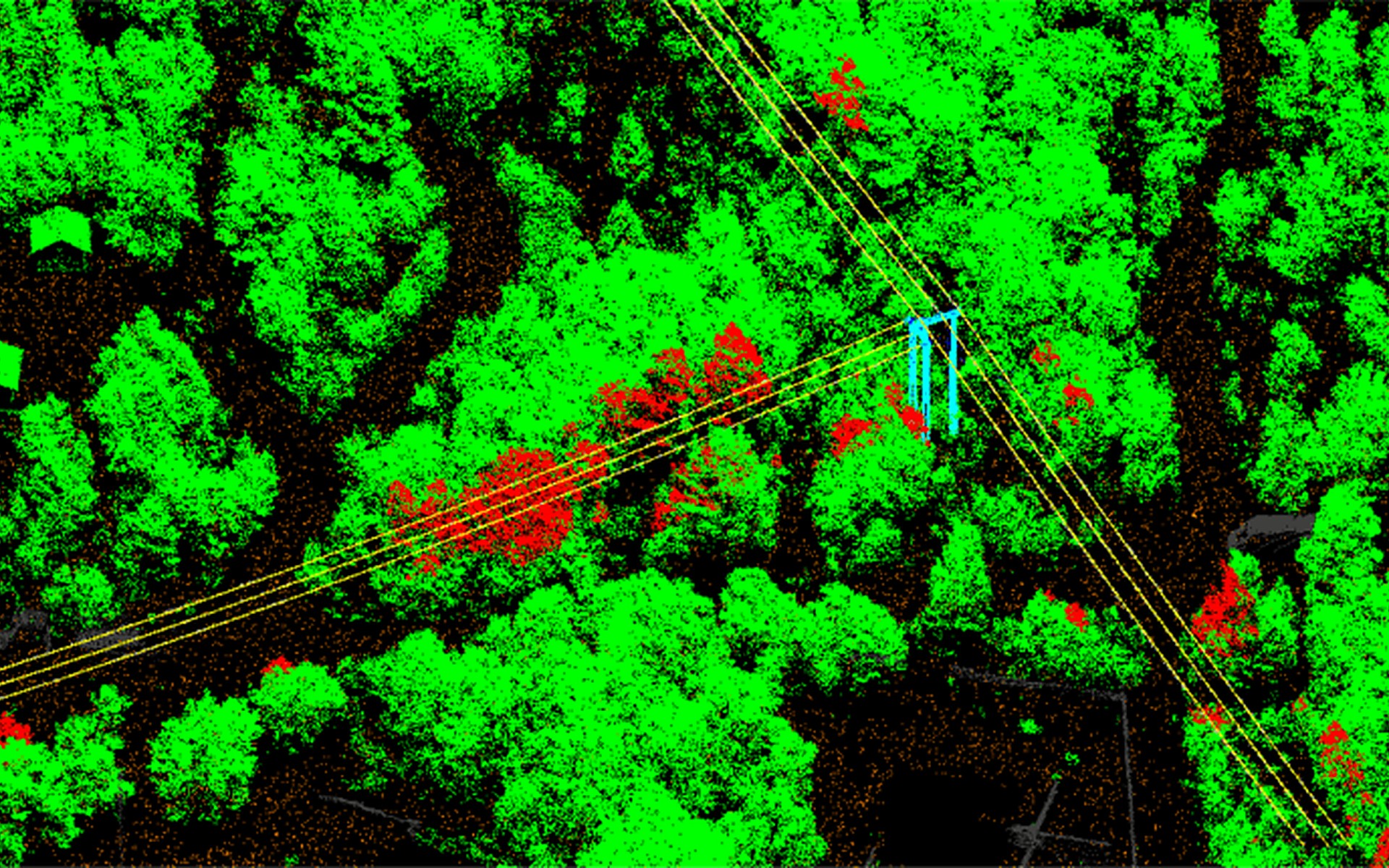 送電線と植生の距離可視化